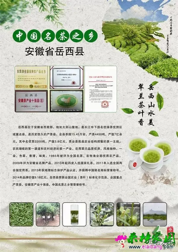 03.webp.webp