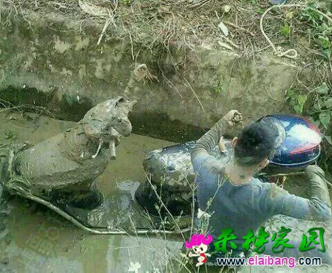 105144z0ytsjvjvg2zxj86.webp