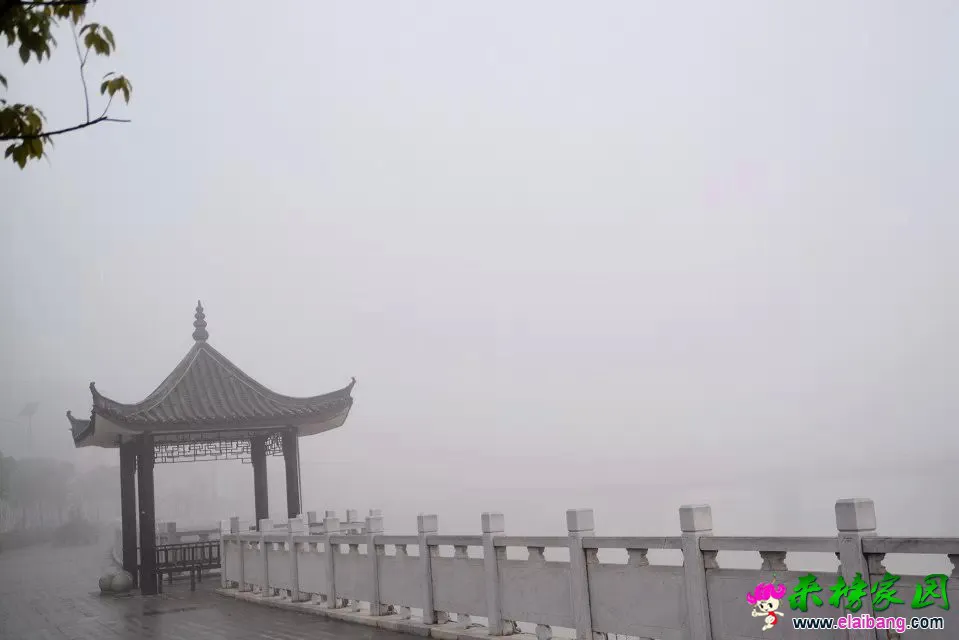 psb (41).webp