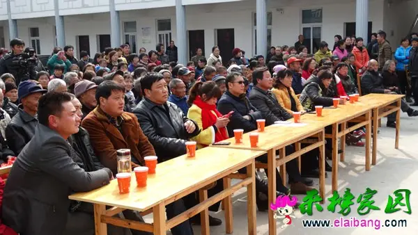 DSC00240.webp
