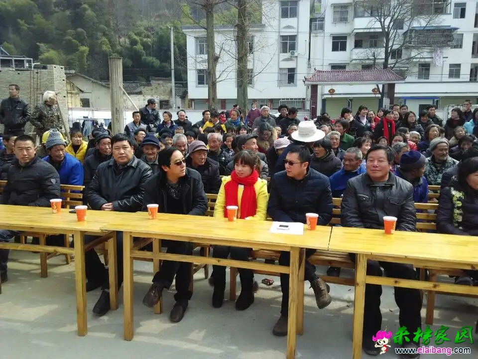 QQ图片20150311111722.webp