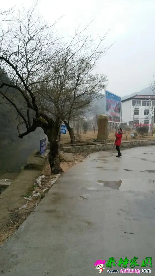 QQ图片201503141838522.webp