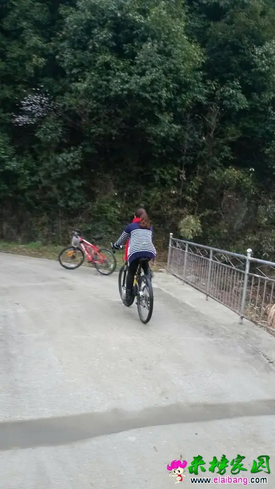 QQ图片2015031418405711.webp