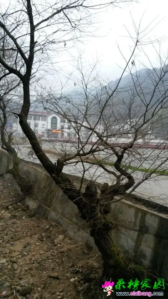 QQ图片2015031418414914.webp