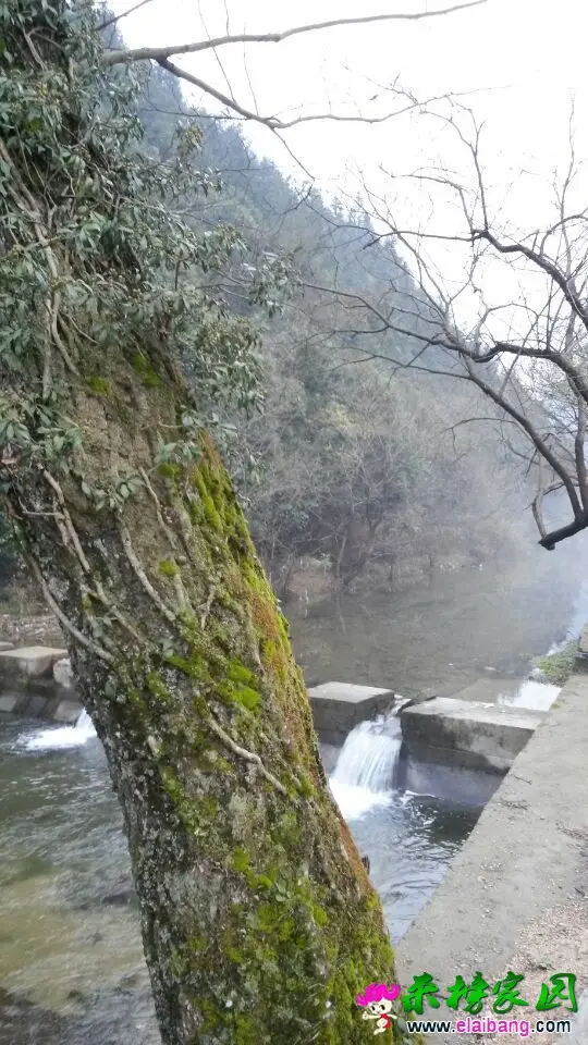 QQ图片20150315090916.webp