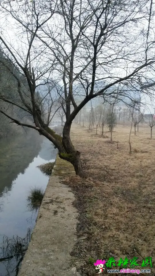 QQ图片20150315090921.webp