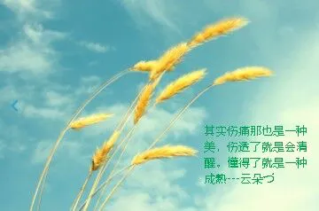 QQ图片20150316162019.webp