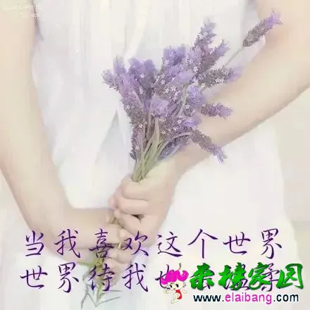 psb.webp