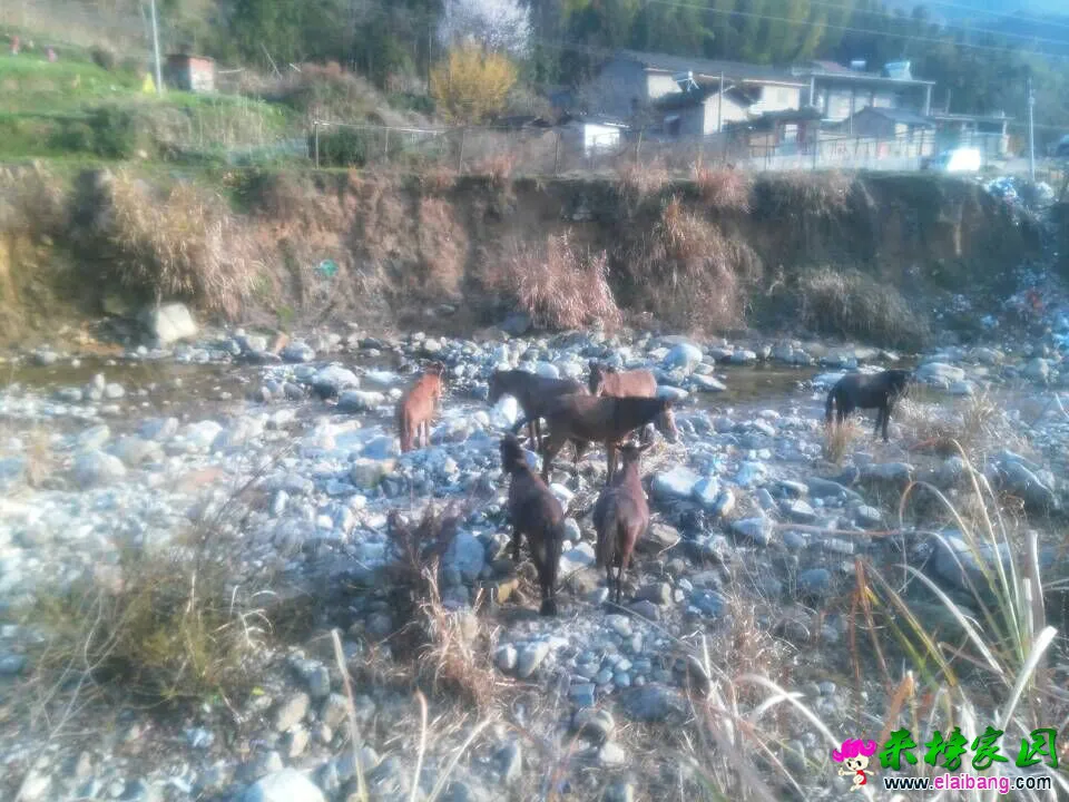 QQ图片20150316174343.webp