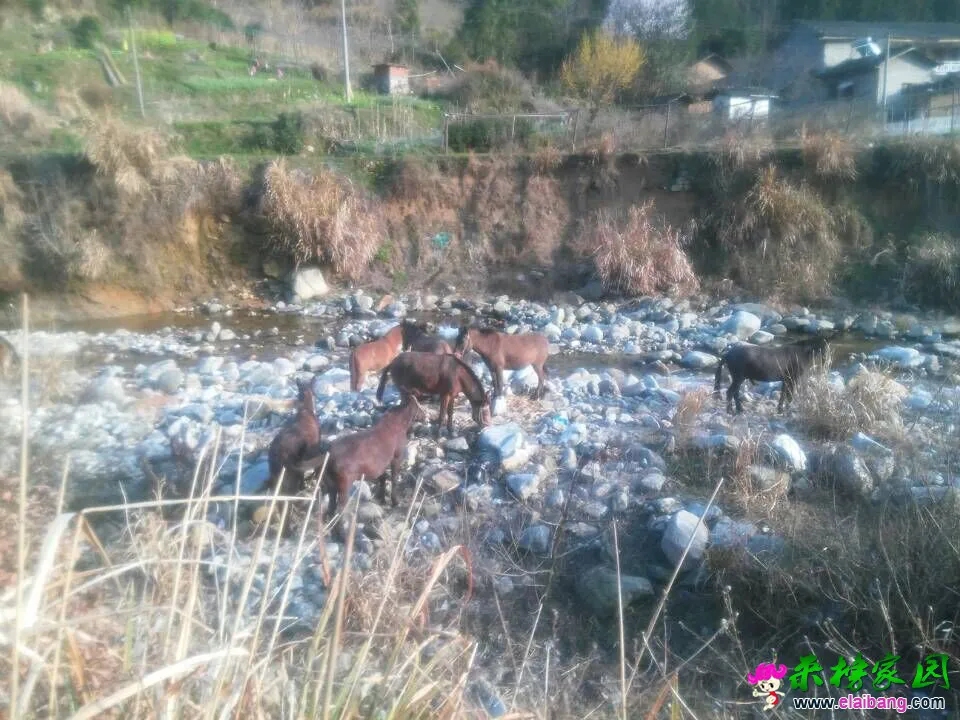 QQ图片20150316174409.webp