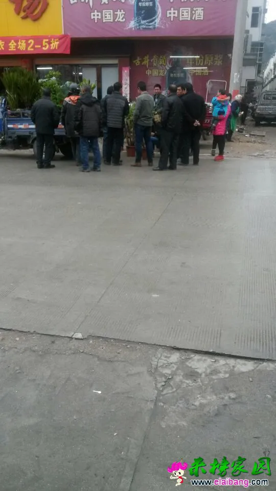 QQ图片201503181058401.webp