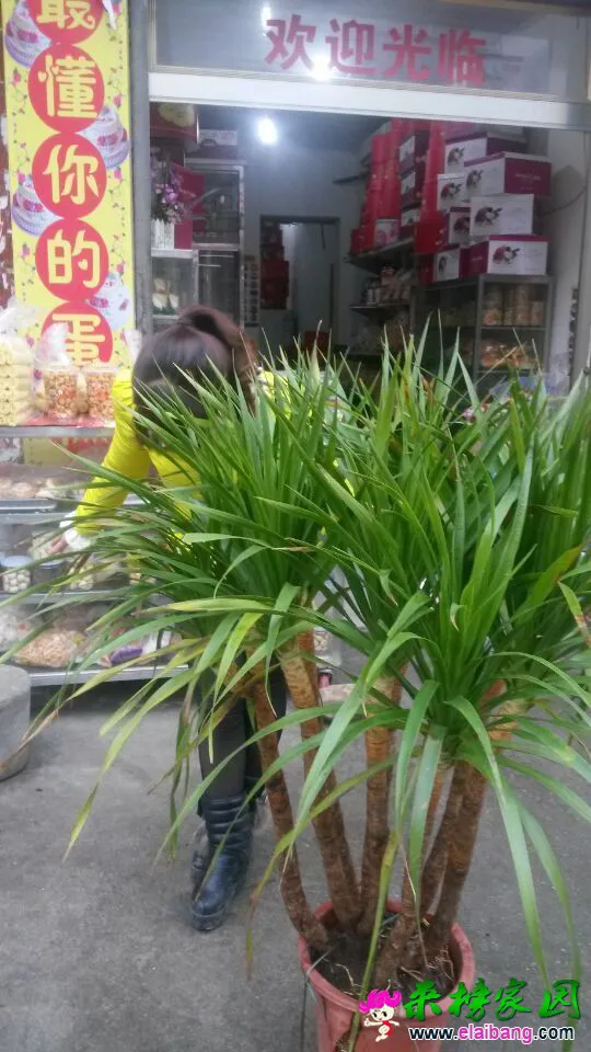 QQ图片201503181059064.webp