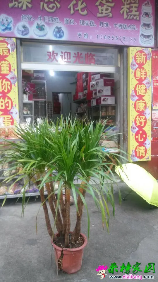 QQ图片201503181059125.webp
