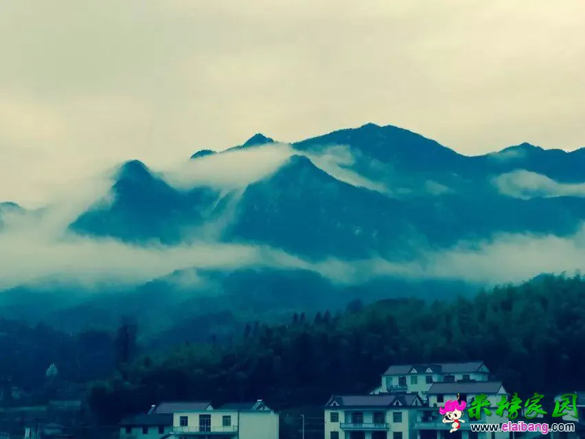 QQ图片20150320092529.webp