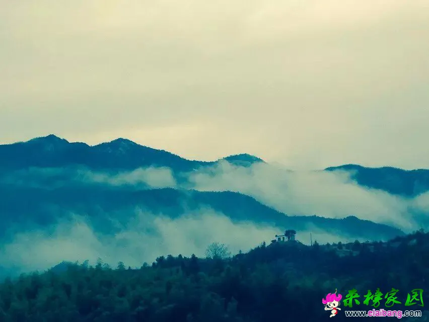 QQ图片20150320092541.webp