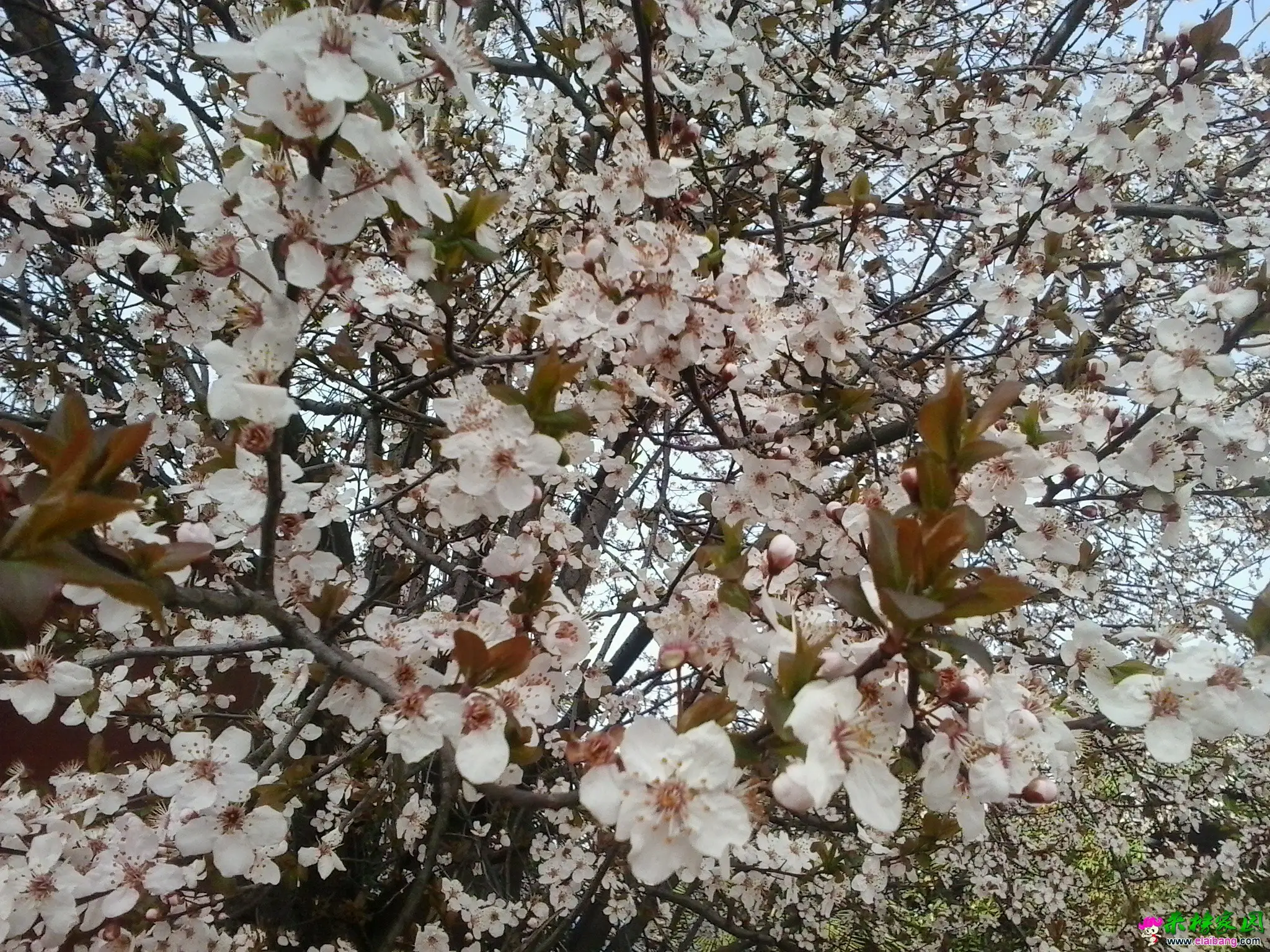 20150321_083552.webp