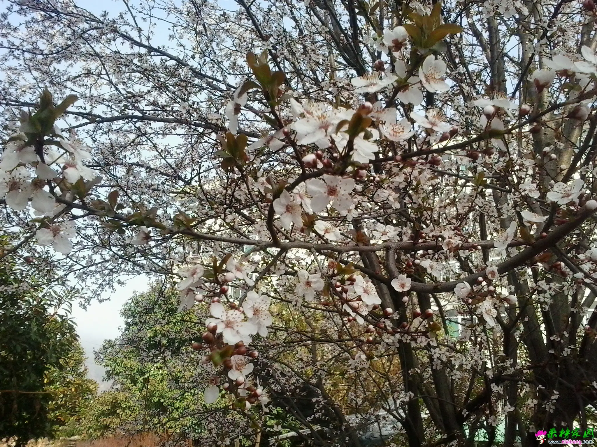 20150321_083609.webp