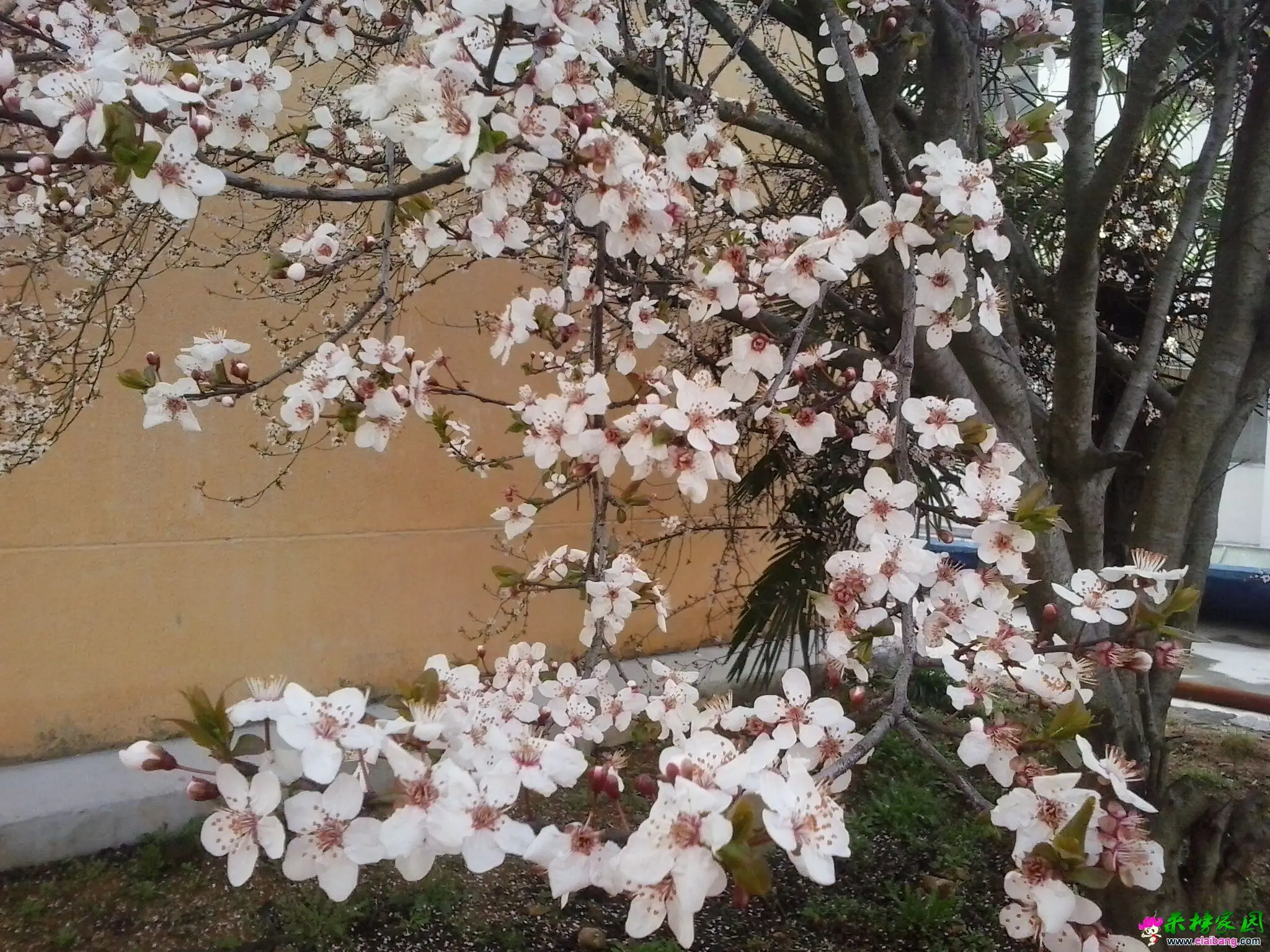 QQ图片20150321084117.webp