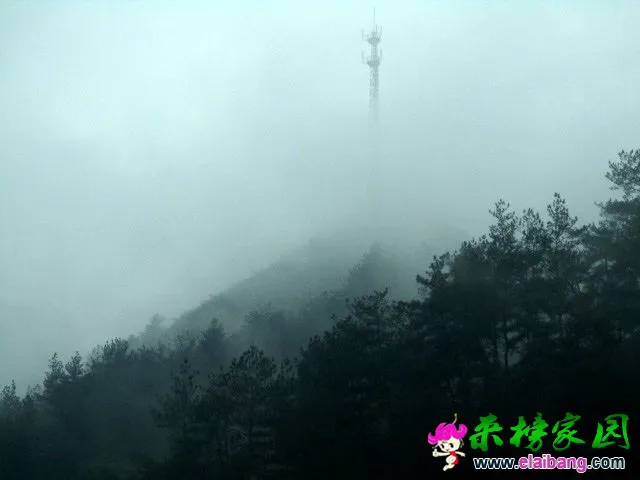 0028Ep8Qgy6Q7wLF0vm00&amp;690.webp