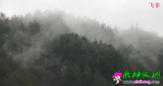 0028Ep8Qgy6QQjD0eUee6&amp;690.webp