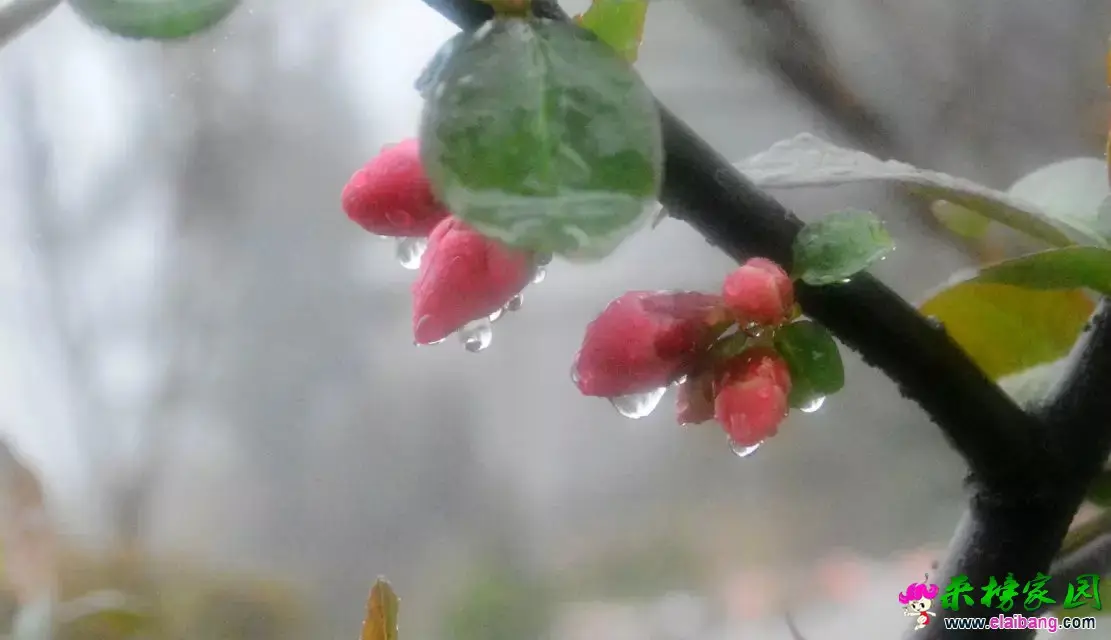 psb (47).webp