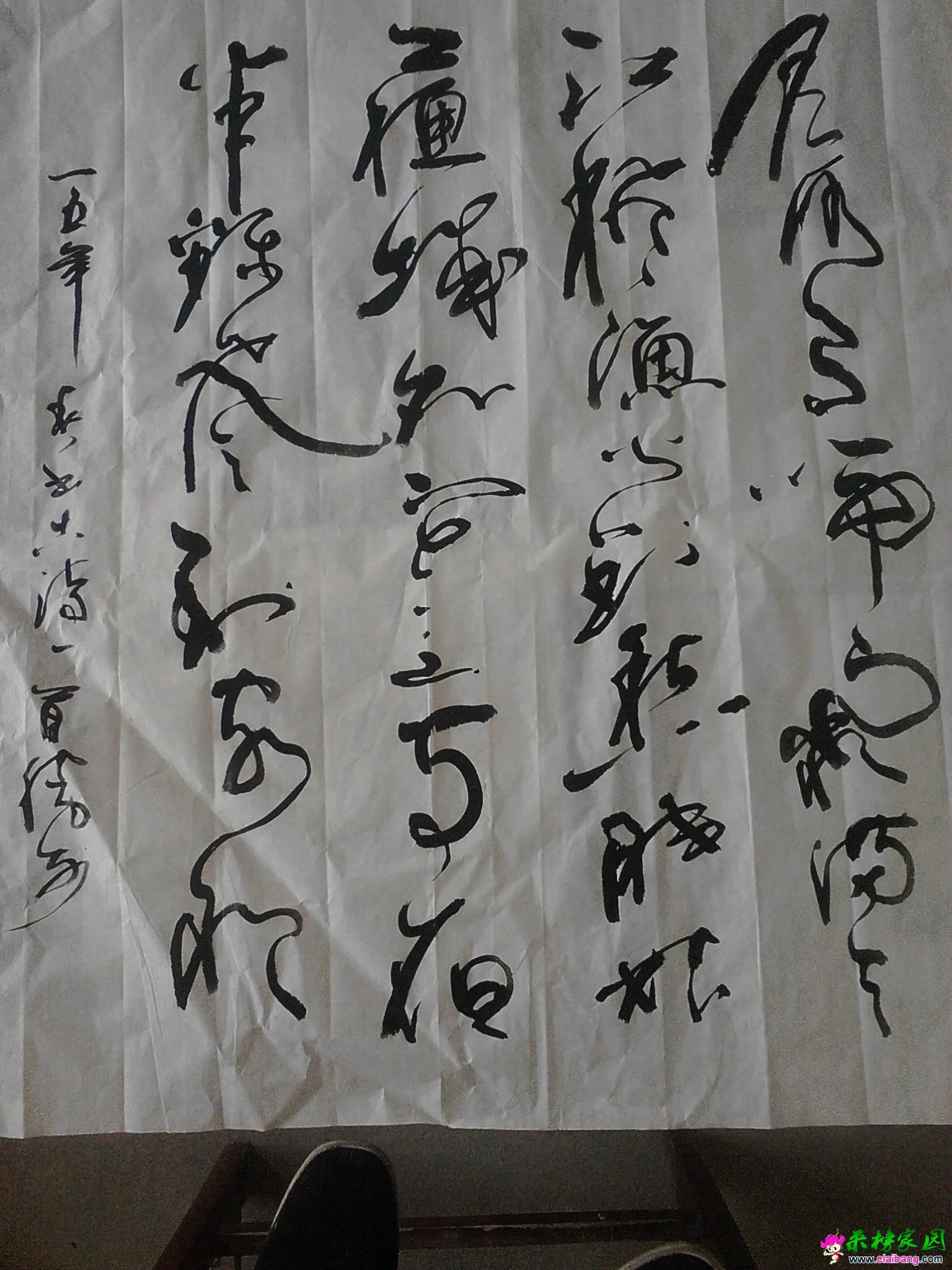 IMG20150323135431.webp