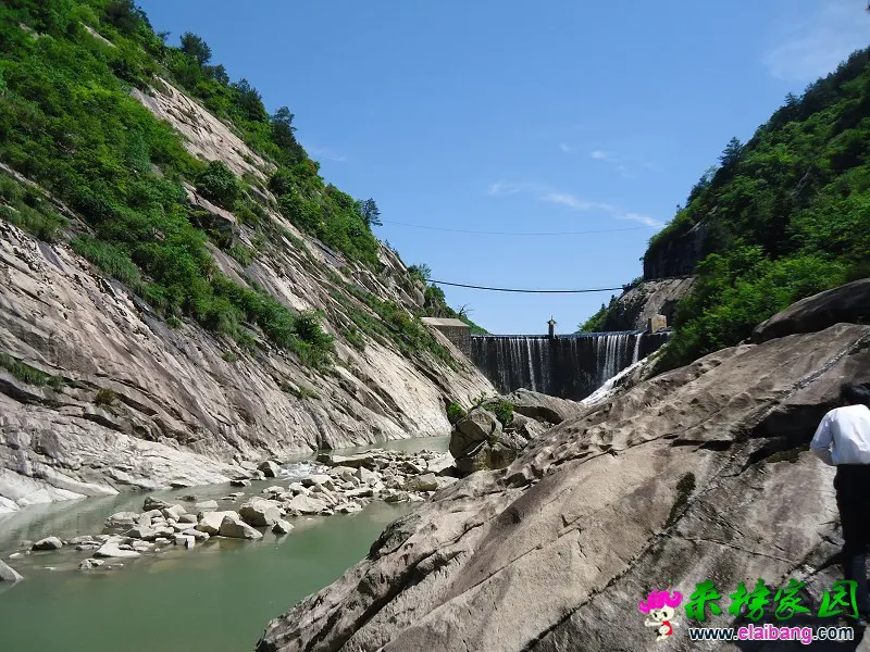 12.webp