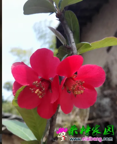 QQ截图20150328142028.webp