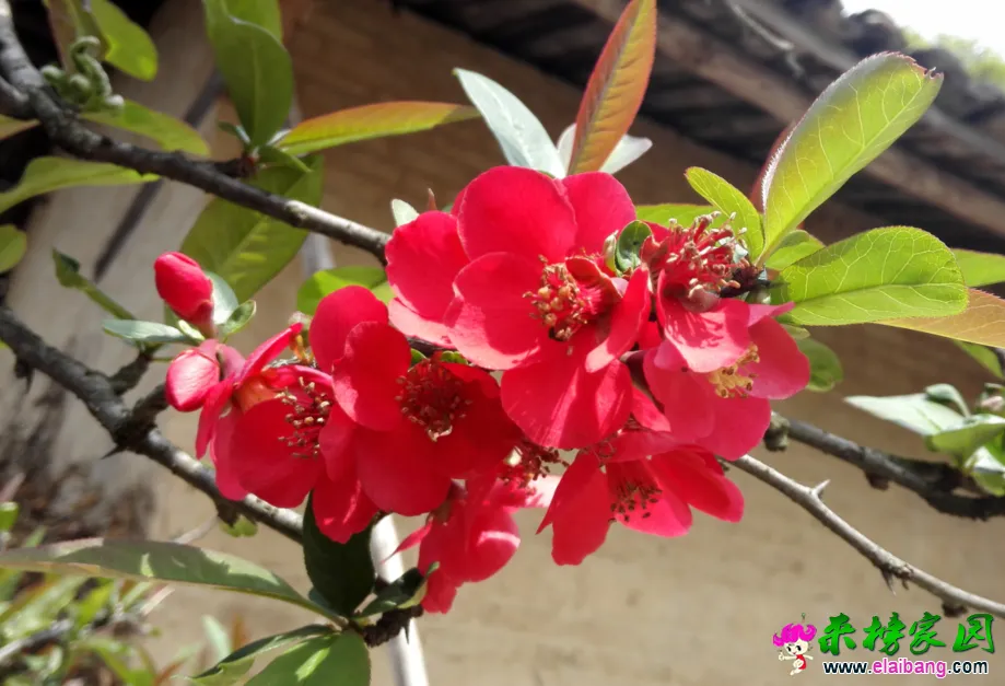 QQ截图20150328141959.webp