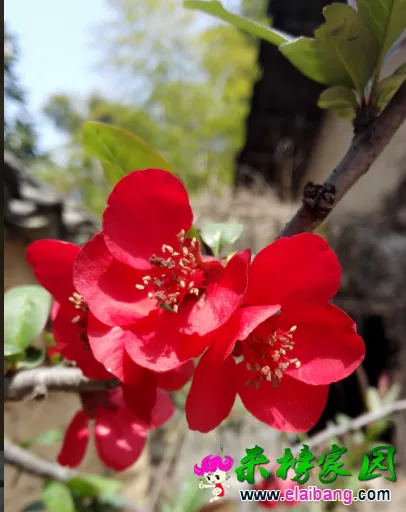 QQ截图20150328142016.webp
