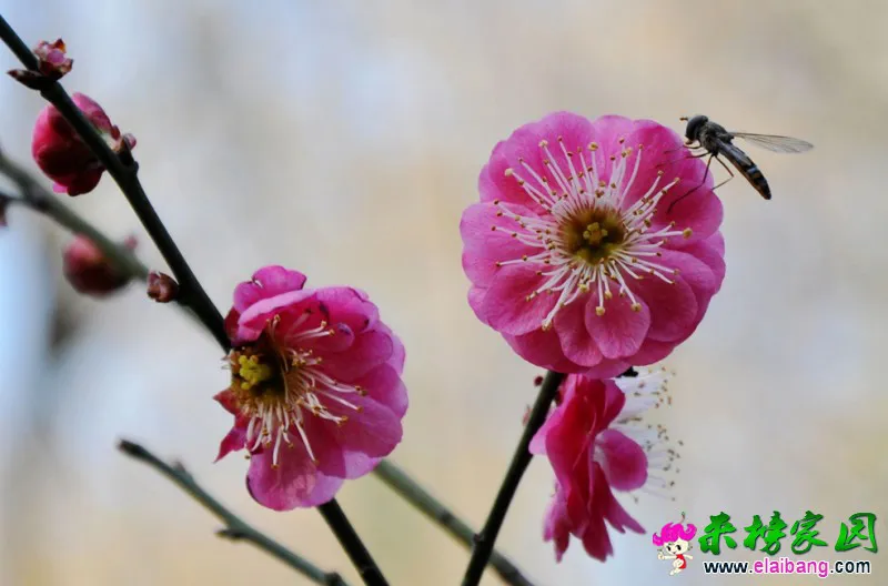 214334z56x94dz5koo9osz_jpg_thumb.webp