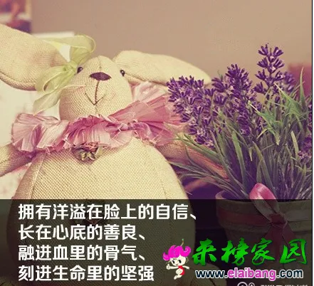 QQ截图20150329092811.webp