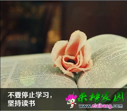 QQ截图20150329092927.webp