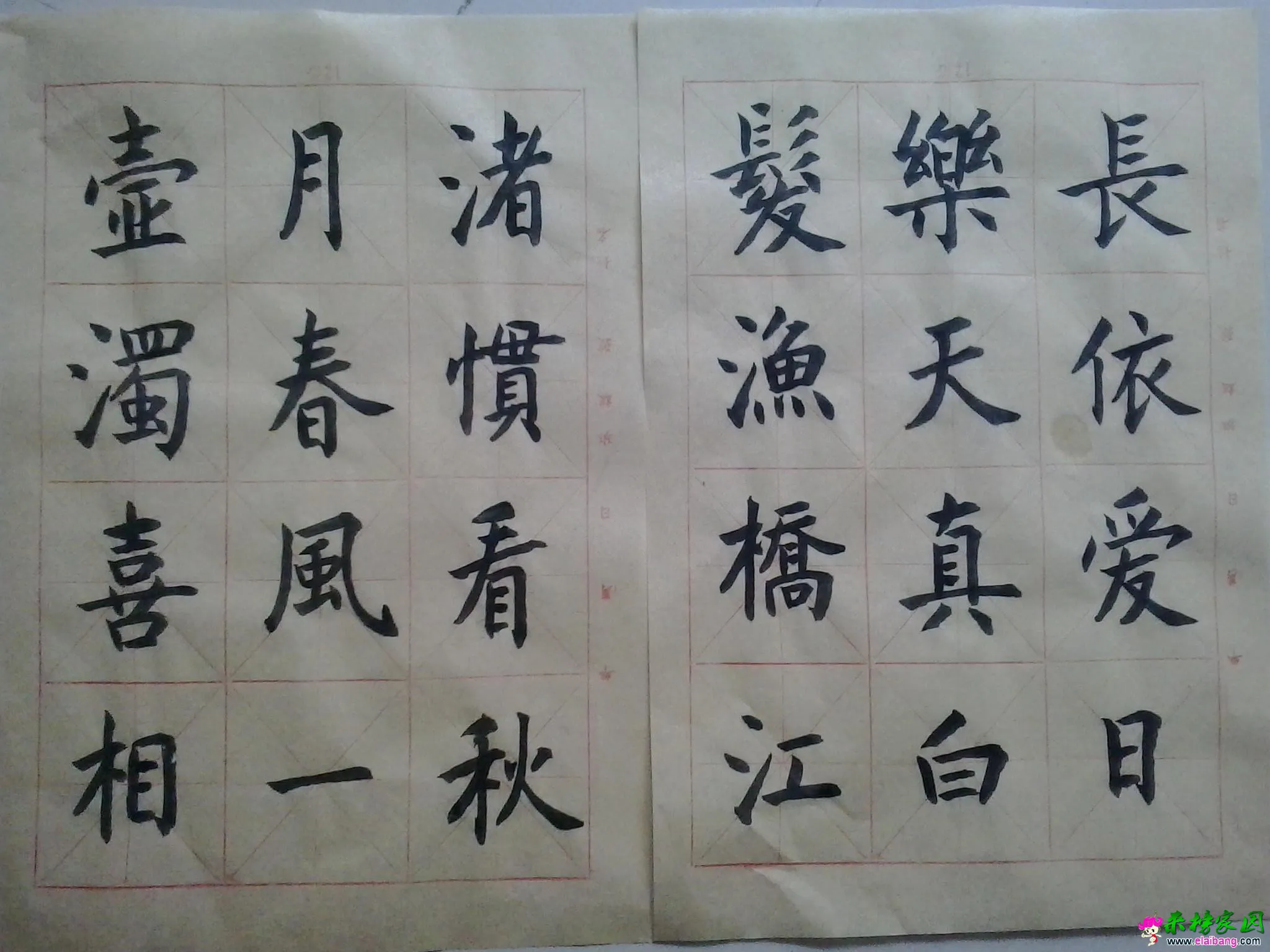 20150330_125406.webp