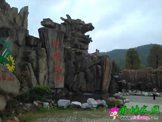 221222gk12saortkkuwsi1.webp
