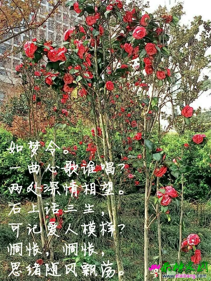 QQ图片20150330145504.webp