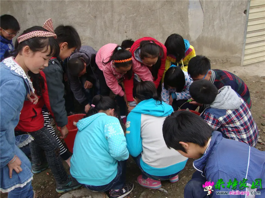 DSC04896.webp