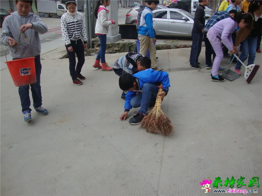 DSC04895.webp