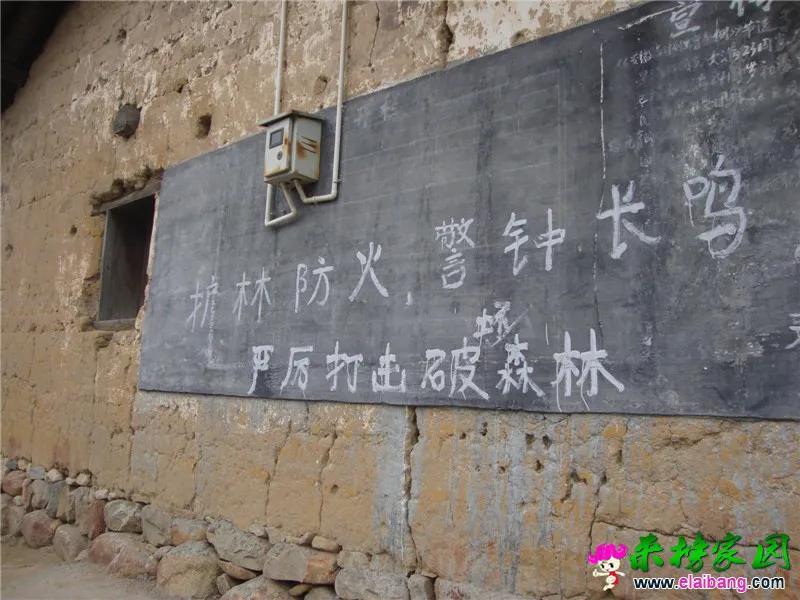 DSC04931.webp