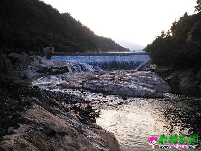 psb_(11).webp