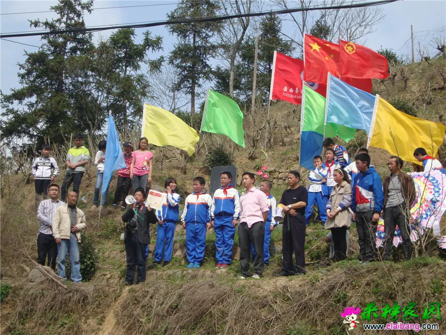 DSC04940.webp