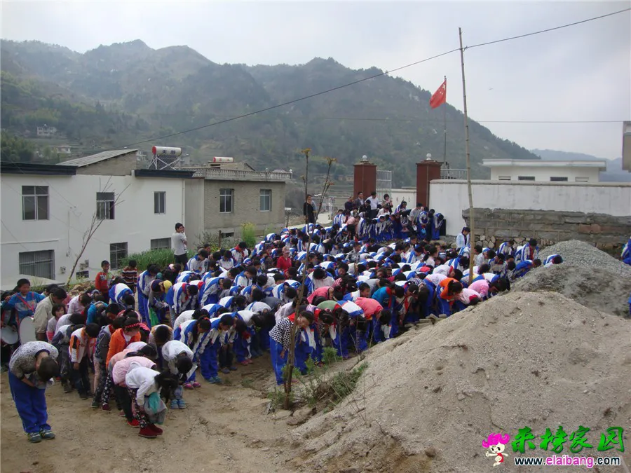DSC04944.webp