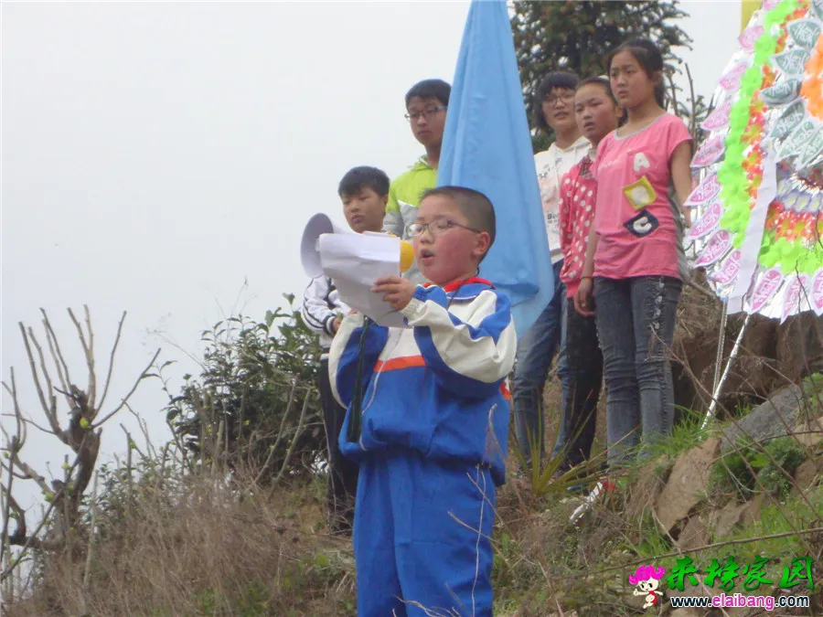 DSC04948.webp