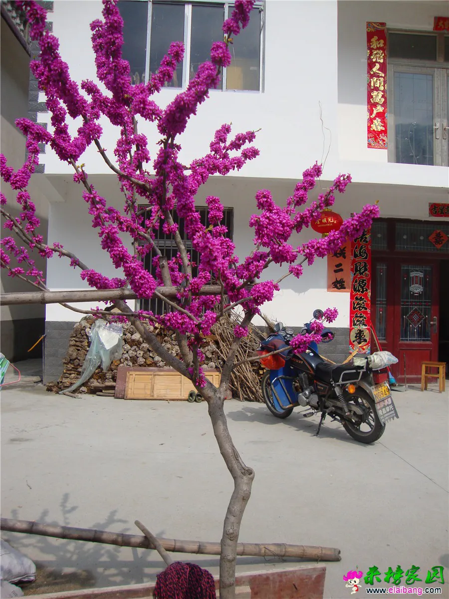 DSC04929.webp
