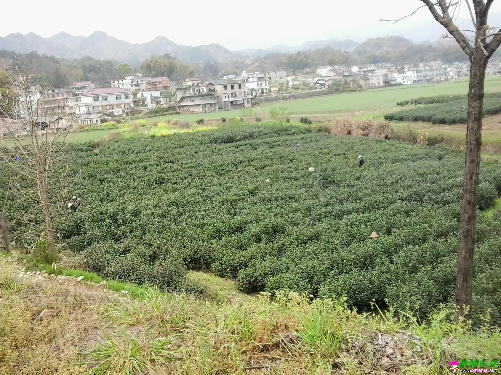 20150403_104751.webp