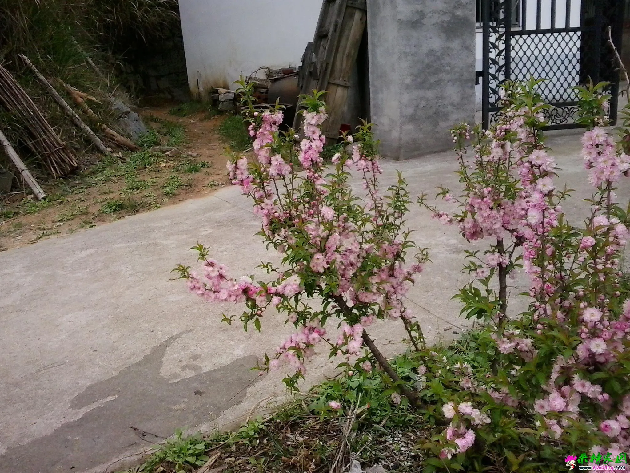 20150403_121455.webp