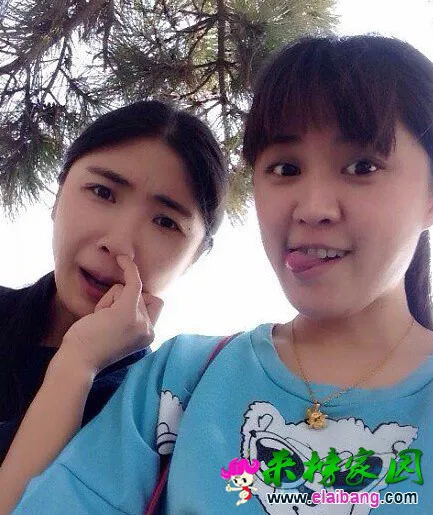 t01460eb5df622cbd86.webp
