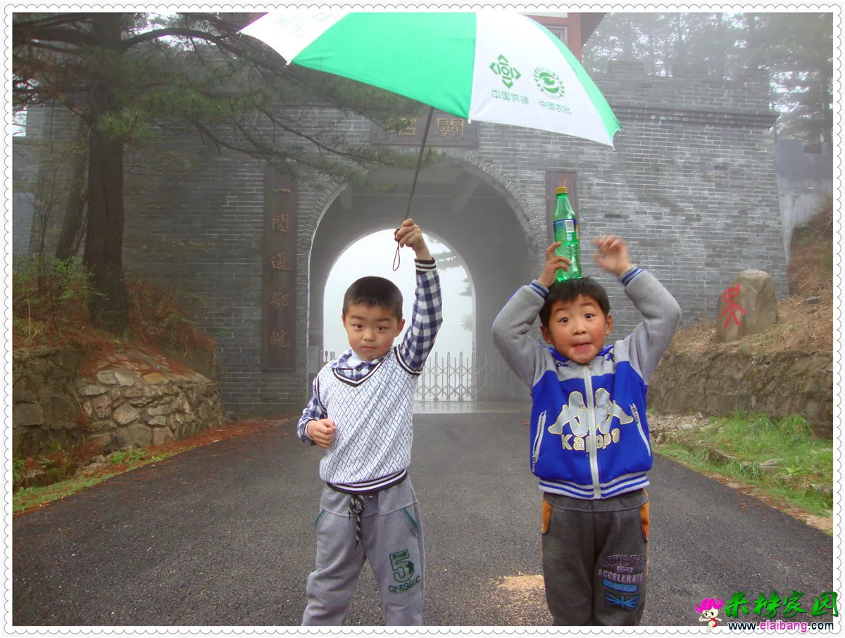 DSC04985.webp