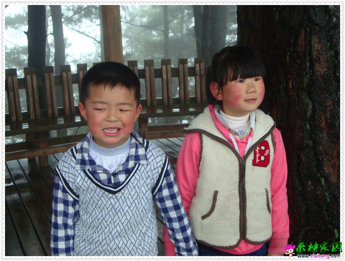DSC04993.webp