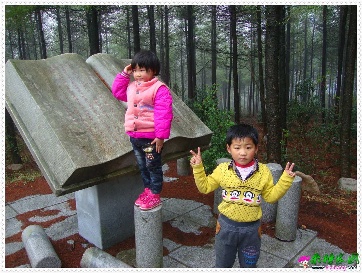 DSC05009.webp